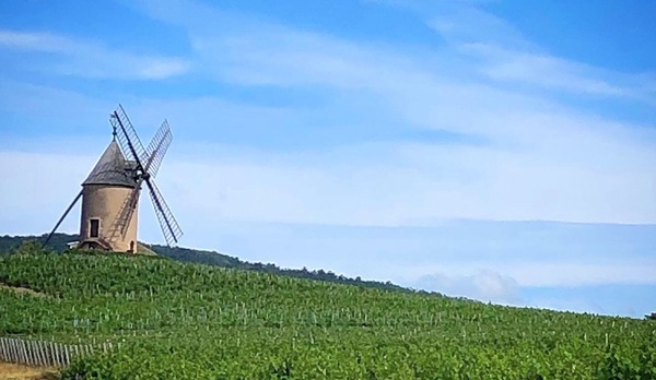 The famous Moulin et Vent wind mill in Beaujolais 